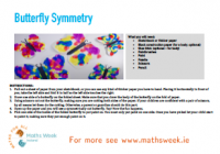 Butterfly Symmetry activity