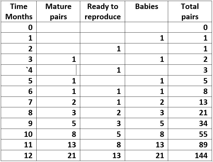 Fibonacci's Cats – MATHS WEEK IRELAND