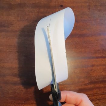 Mobius Strip 1 cut