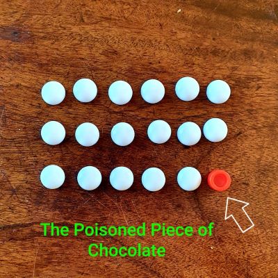 Posioned Chocolate Photo