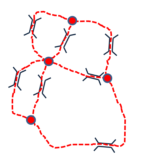 7 Bridges Graphical Representation 2