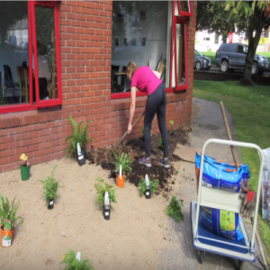 3. Garden Design Carrick on Suir libraries