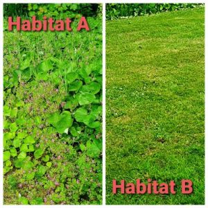 Habitats