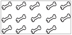 Bones 14