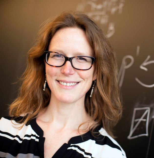Hamilton Lecture: The geometry and algebra of the Mandelbrot set | General Public