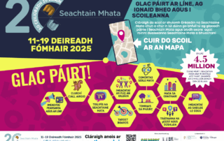 Generic 20 year poster 2025 IRISH