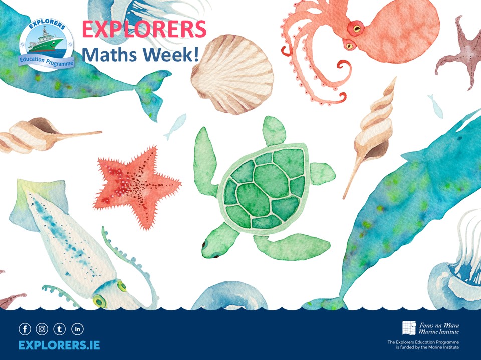 Meigeafána a Thaiscéaladh in Uisce Éireann leis an Explorers Education Programme | Rang 3-6