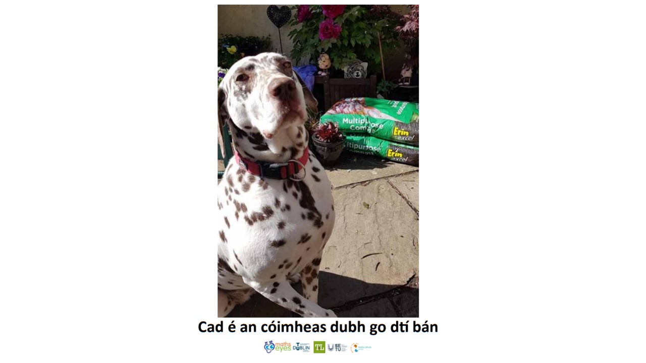 Slide17