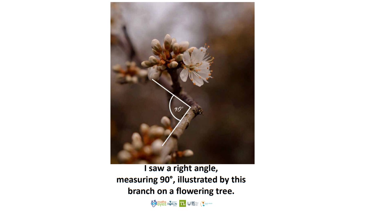 Slide23