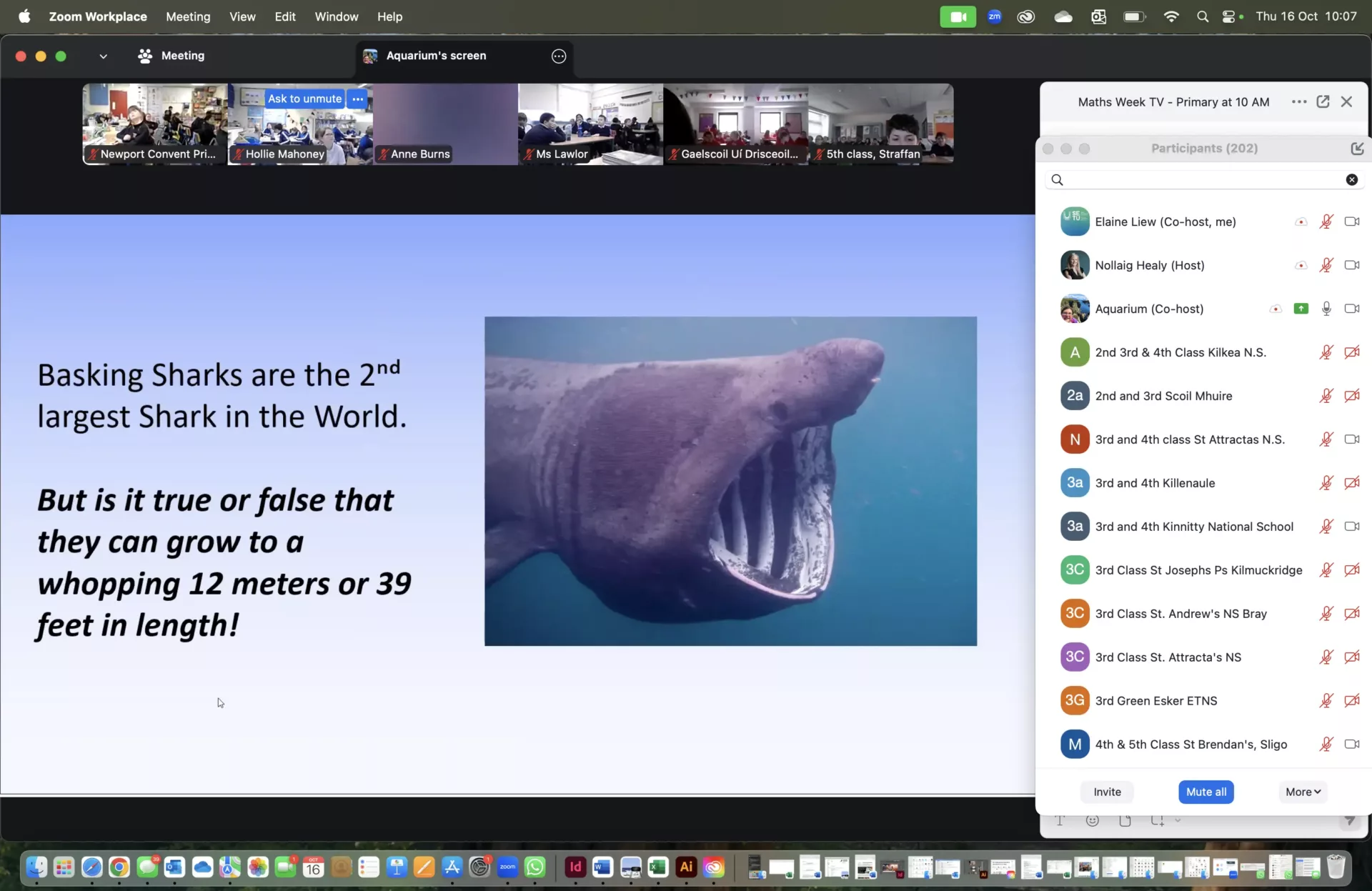 2025 Maths TV Exploring Megafauna in Irish Water with the Explorers Education Programme