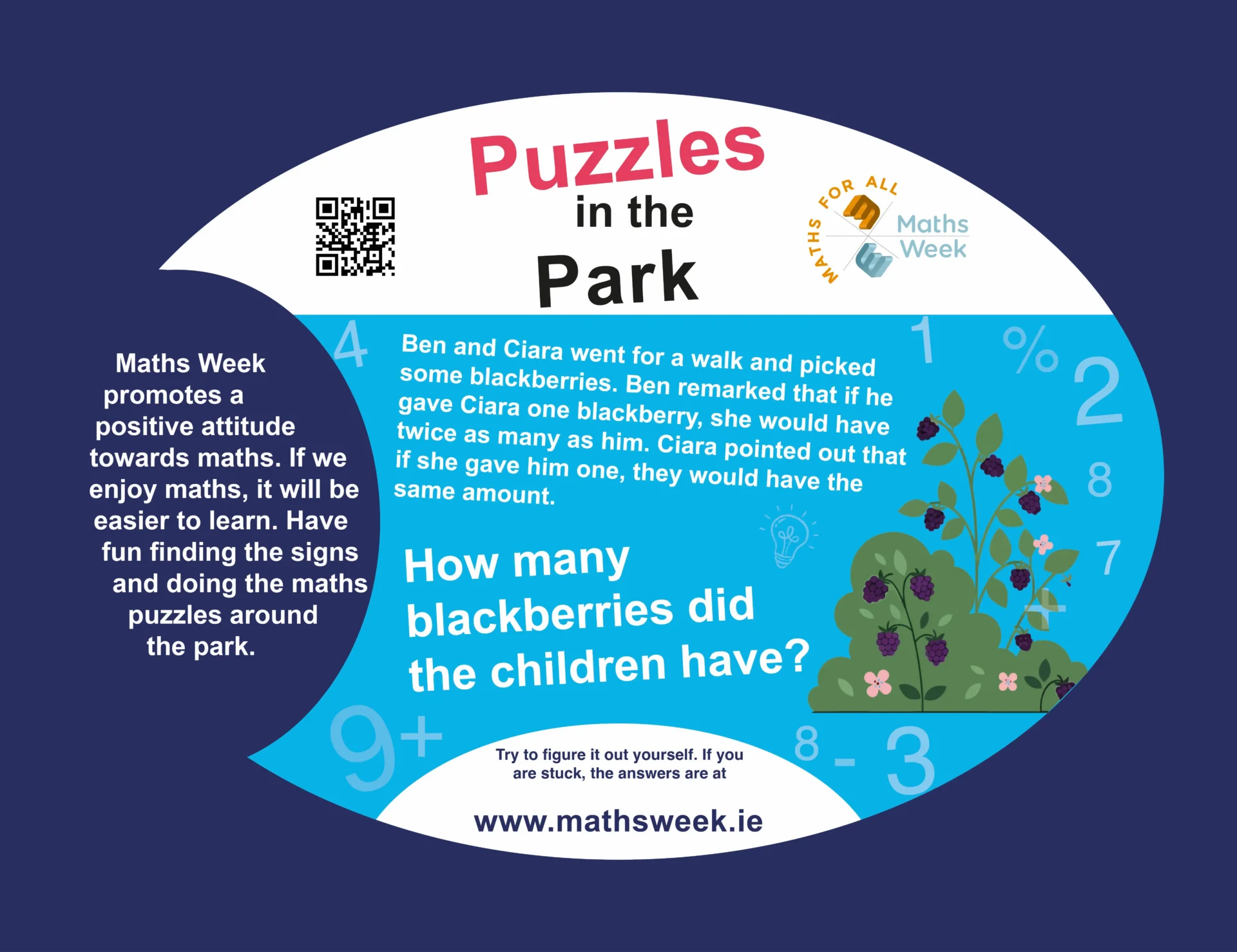 2025 puzzle in the park, Blackberries NI