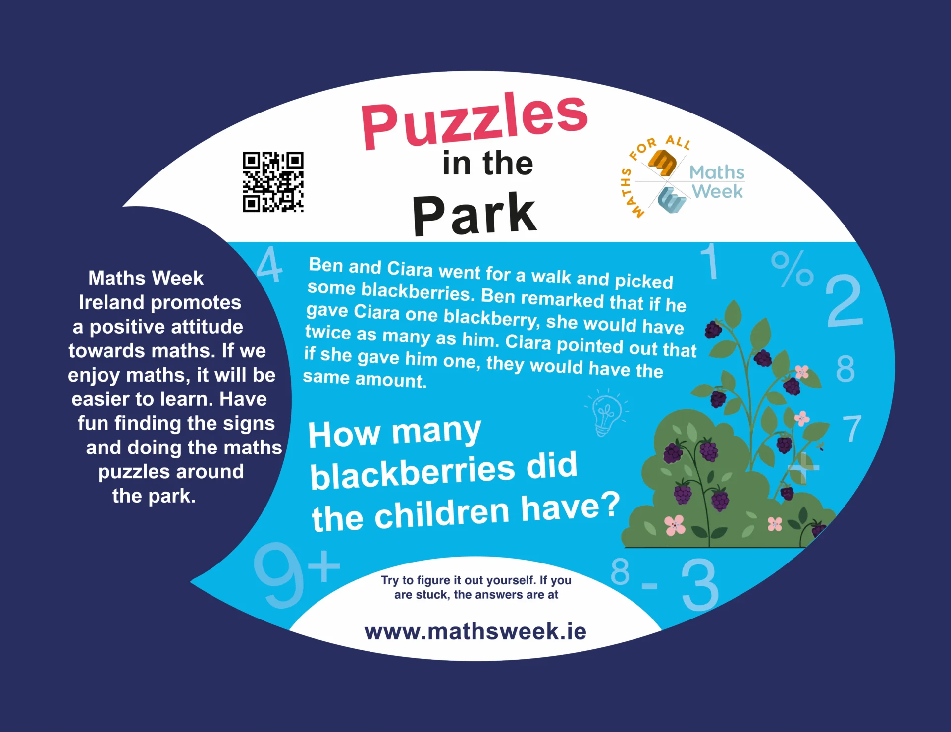 2025 puzzle in the park, Blackberries ROI